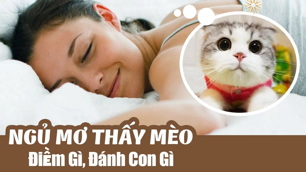 Nằm mơ thấy mèo đen đánh số mấy?