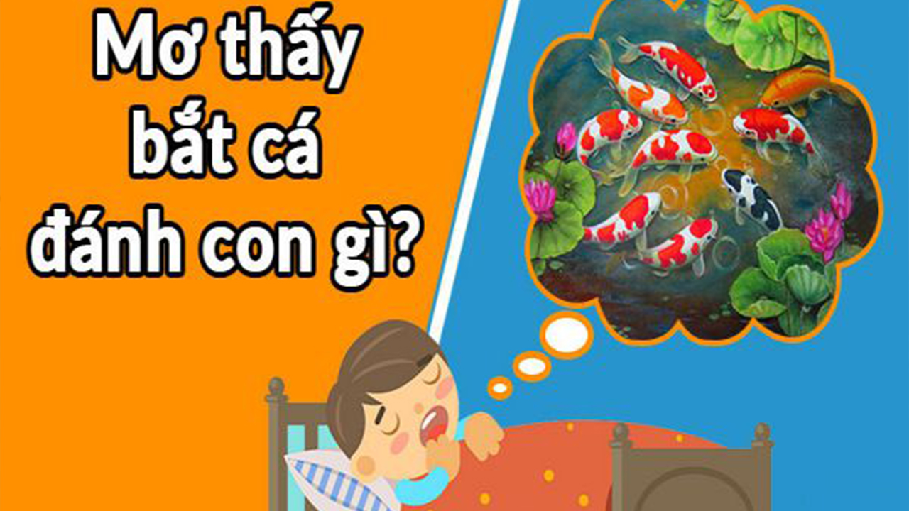 Nằm mơ thấy bắt cá đánh số mấy